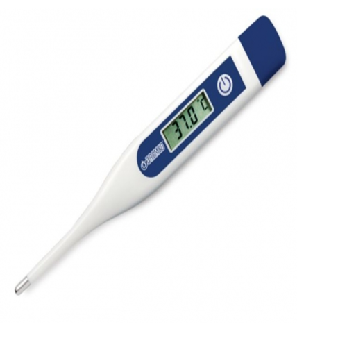 thermomètre dégital 